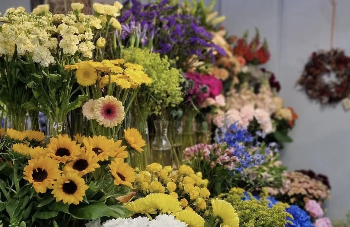 Iris Blommor – webbdesign